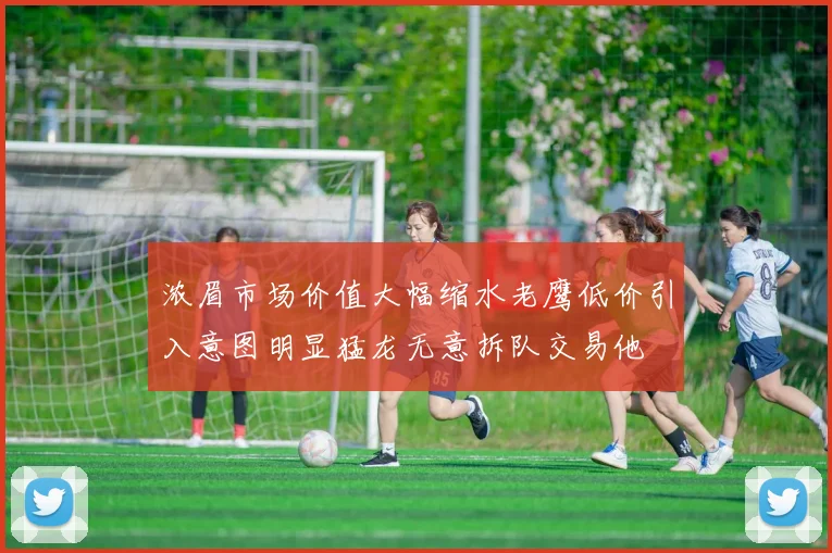 浓眉市场价值大幅缩水老鹰低价引入意图明显猛龙无意拆队交易他